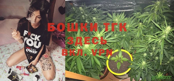 прущие крисы Арсеньев