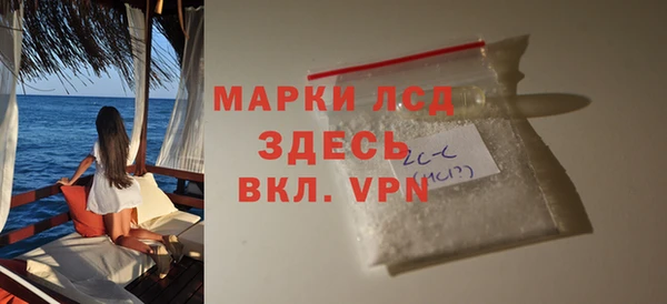 стаф Белокуриха