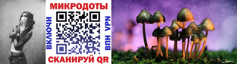 Псилоцибиновые грибы Magic Shrooms  Купить где  Спасск-Рязанский 